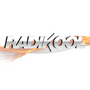 radikool chemicals